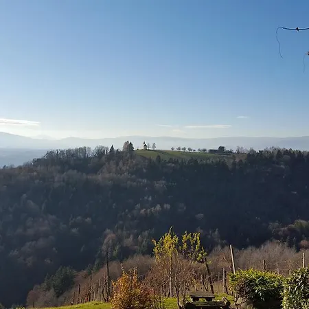 Casa vacanze Weingarthaus