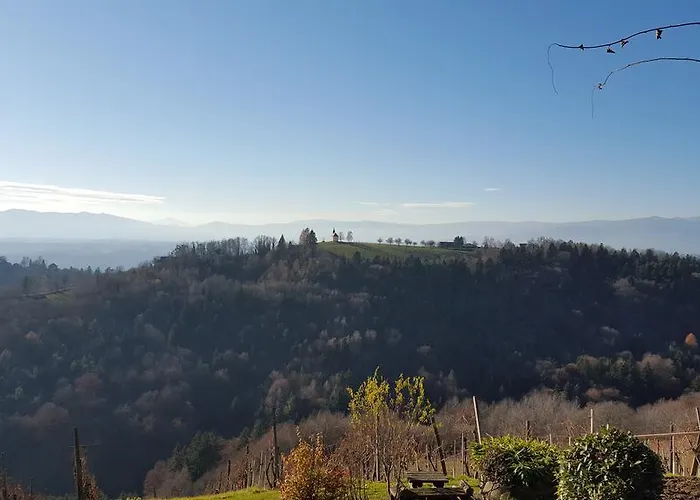 بيت للعطل Weingarthaus